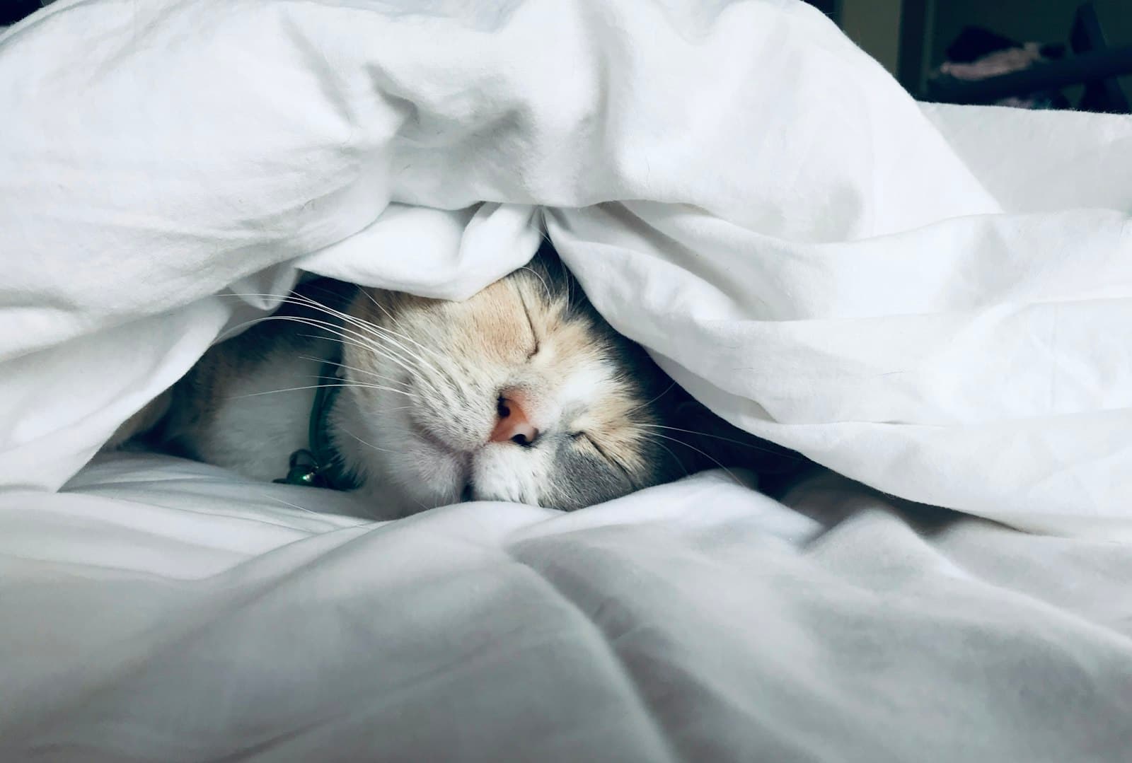 Sleep Apnoea and Weight Loss: Breaking the Cycle